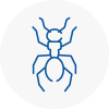Ant Removals In Plympton