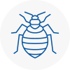 Bed Bug Extermination In Plympton