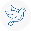 Bird Prevention Plympton