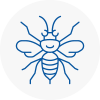 Plympton Hornet Nest Removals