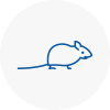 Mice Exterminators In Plympton