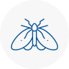 Moth Control Specialists In Plympton