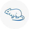Rat Control Plympton