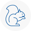 Plympton Rodent Removals