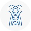 Plympton Wasp Nest Removal